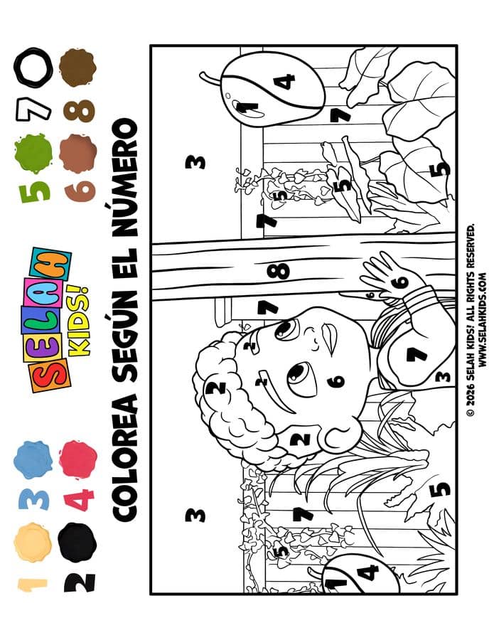 Color by Number
